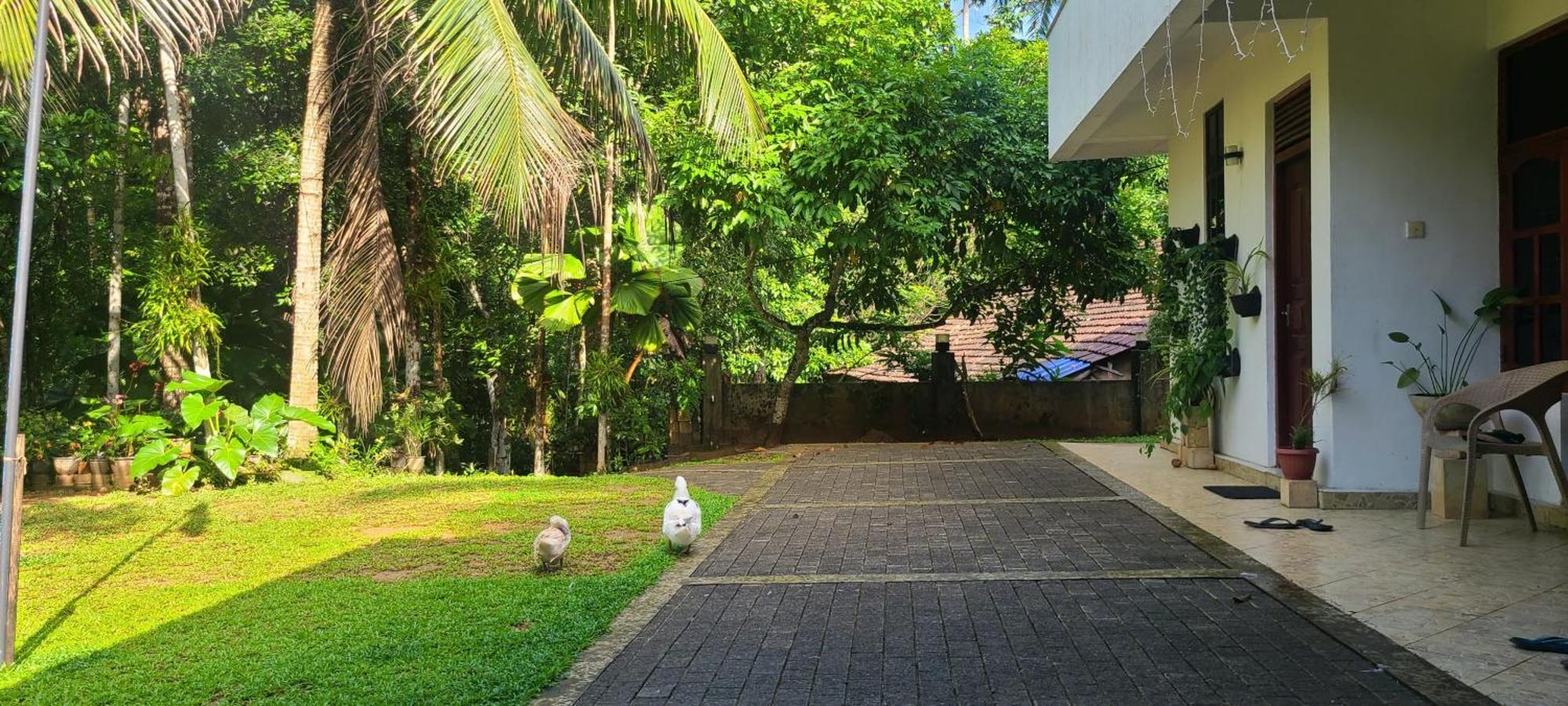 'Kolamba Gedara' Green Apartment Ruwanwella Dış mekan fotoğraf